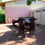 National Museum & Art Gallery Animal Cart - Gaborone