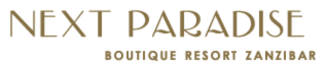 Next Paradise Logo
