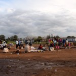 Harare Market Stalls