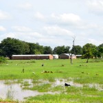 Malawi Drive Field