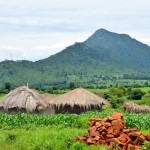 Malawi Drive Huts