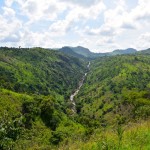 Malawi Drive Mountain Stream