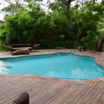 Mvuu Lodge Pool