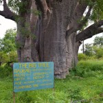 The Big Tree Zimbabwe Sign