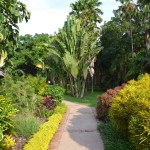The Makokola Retreat Path