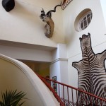 Victoria Falls Hotel Animals