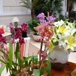 Casa Gangotena Atrium Orchids