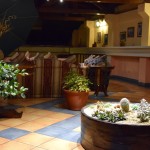 Hotel Patio Andaluz Cactus Garden