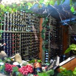 Maca Bana Aquarium Restuarant Wine Cellar
