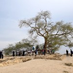 Bahrain Tree of Life on a hill