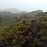 Mount Cameroon Summiting Path