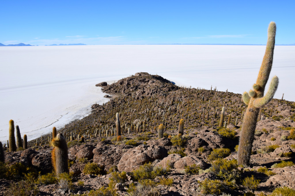 Uyuni Salt Flats Isla Incahuasi Island | World-Adventurer