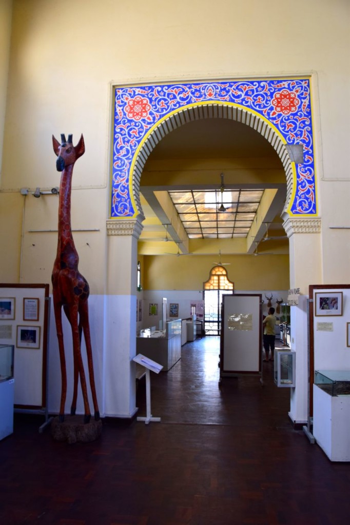 Dar es Salaam National Museum Giraffe | World-Adventurer